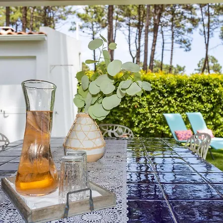 Casa Aroeira - Near Lisbon * Charneca (Setubal)