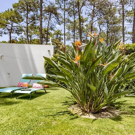 Casa Aroeira - Near Lisbon *